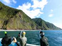 【東京離島】ドルフィンスイムの聖地！絶海の孤島「御蔵島」