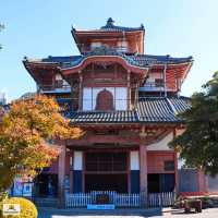 Gifu Giant Buddha