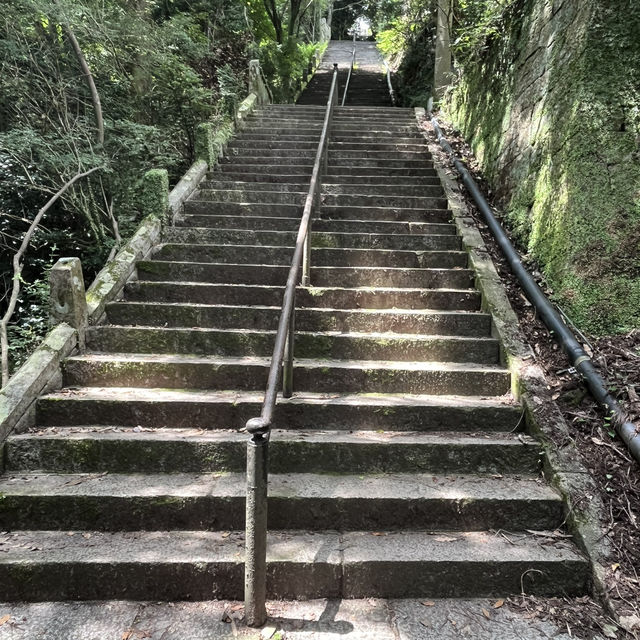 ⛰️【摩耶山】　神戸