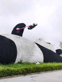 ตามหา แพนด้ายักษ์ เซลฟี่ ที่เมือง Dujiangyan