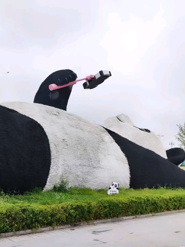 ตามหา แพนด้ายักษ์ เซลฟี่ ที่เมือง Dujiangyan