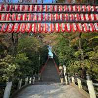 小石川大神宮🪷靜謐之境