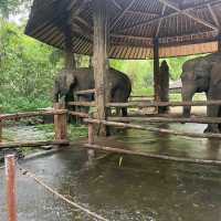 Bali Safari & Marine Park