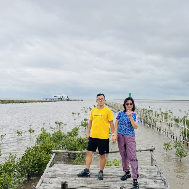 Ca Mau Primeval forest park 