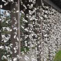 鰲鼓濕地生態展示館 