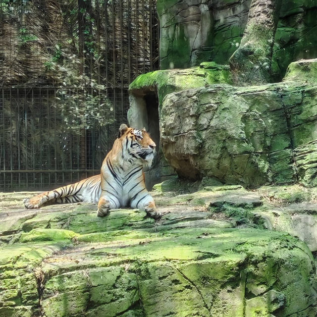 台北市立動物園：動物王國之旅 🦁🌿