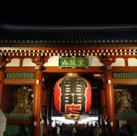 Things to do if your transfer flight is in Tokyo🇯🇵💖