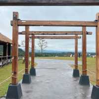 🐑 ฟาร์มแกะเปิดใหม่ในตัวเมืองเชียงราย