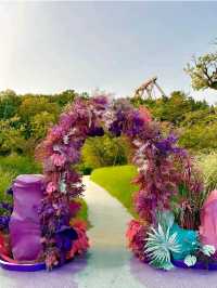 A Magical Escape into a Fairytale Wonderland