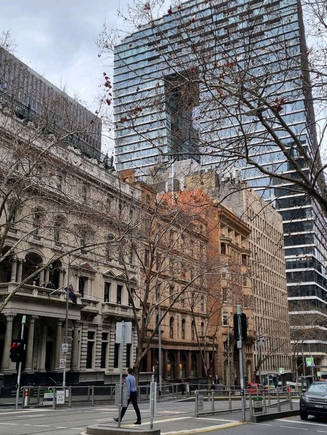 멜버른 아랴 강의 겨울시즌🇦🇺