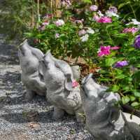 The Three Little Pigs 
