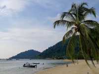 Malaysia’s Best Kept Secret for Diving in 2025 - Tioman