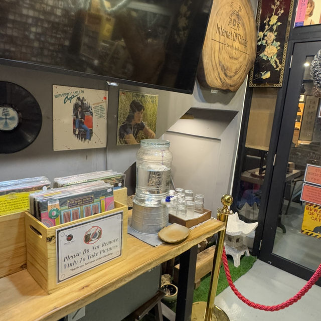 A Time Capsule of Vintage Charm