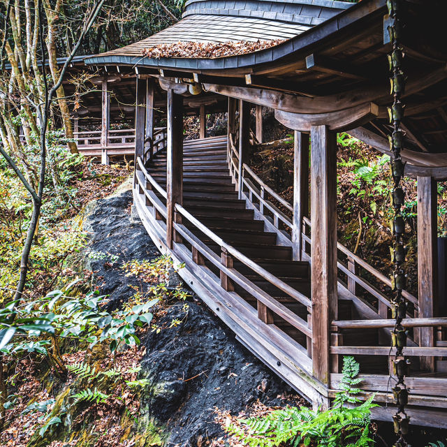 【京都】美しい臥龍廊🐉
