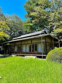 Meiji Jingu