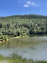 A Day in Paradise: Exploring the Serenity of Potatso National Park in Shangri-La