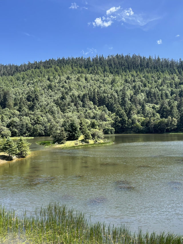 A Day in Paradise: Exploring the Serenity of Potatso National Park in Shangri-La