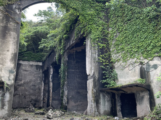 無比療癒的兔子島-大久野島