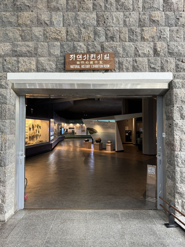 【済州島旅行】歴史を知る済州民俗自然史博物館 