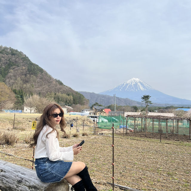 SAIKO Iyashi no sato NENBA 