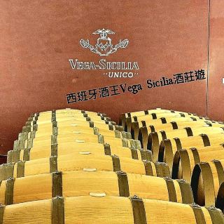 西班牙酒王 Vega Sicilia 酒莊遊