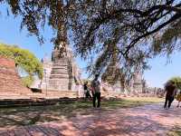 タイの世界遺産と言えばここ🌈