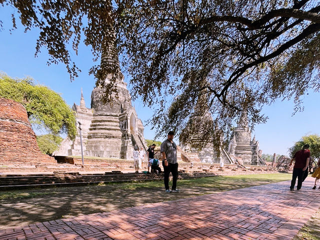 タイの世界遺産と言えばここ🌈