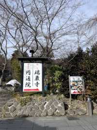 【宮城県】伊達家の菩薩寺　瑞巌寺