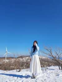 삼양목장