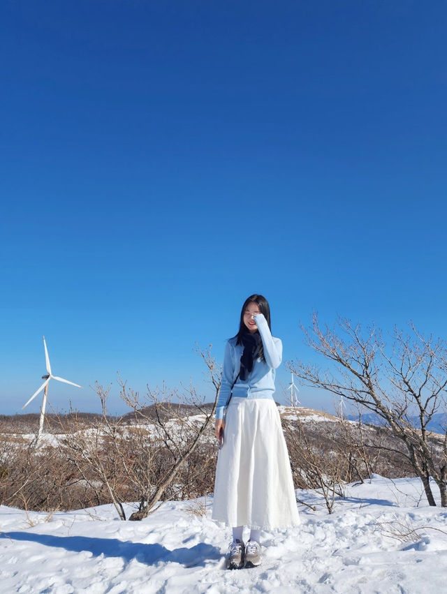 삼양목장