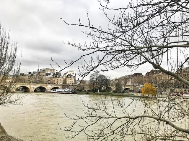 🇫🇷The Serene Seine River in Paris🇫🇷
