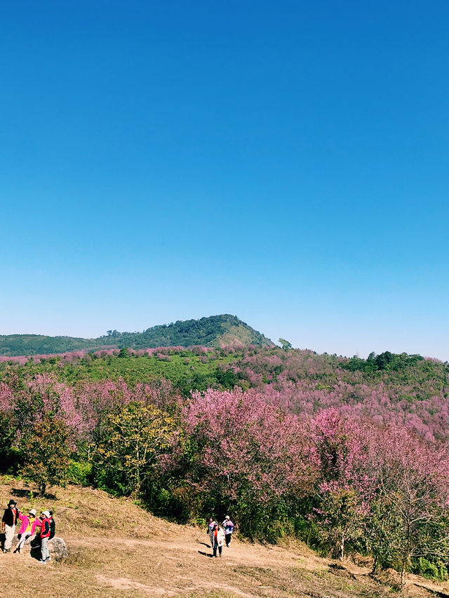ภูลมโล (อุทยานภูหินร่องกล้า)