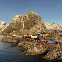 Fresh caught cod in Norwegian village 🇳🇴🎣