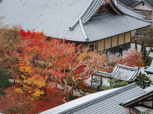 วัดเอ็นโคจิ (圓光寺, Enkōji)