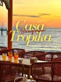 Casa Tropika 🌴🍋✨🌹📍