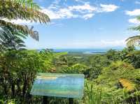 Daintree Rainforest