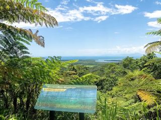Daintree Rainforest