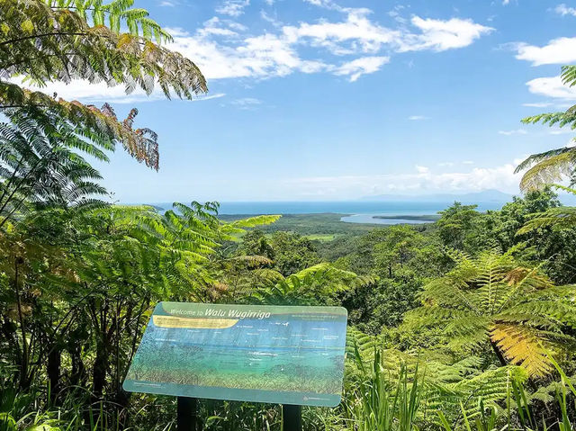 Daintree Rainforest