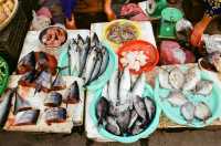 Old-time Vietnam — The Fishing Village of Bao Vinh