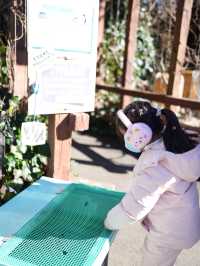 伊豆仙人掌公園！好好玩啊！