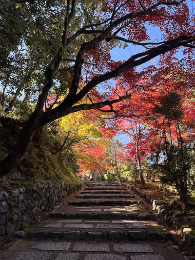 A Symphony of Colors – The Lonely Souls in the Adashino A Symphony of Colors – The Lonely Souls in the Adashino