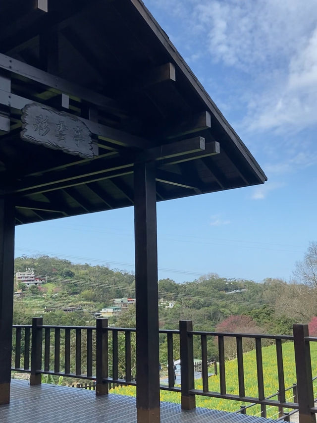 台北縱走第七段-櫻花山林茶鄉漫遊路線