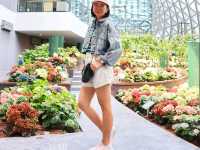 Miracle of Natural สวนดอกไม้เมืองหนาว ระยอง