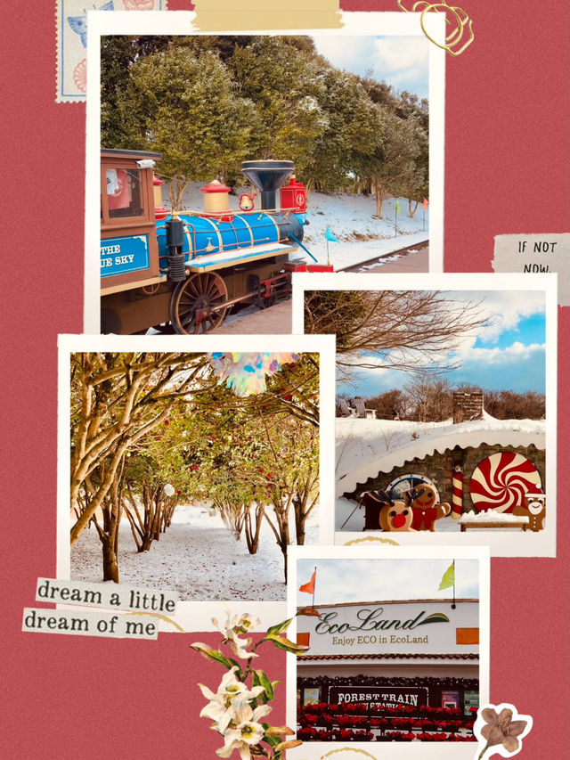Jeju Winter Wonderland: A Nostalgic Trip to Eco Land Theme Park