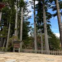 🇯🇵【和歌山】高野山真言宗 壇上伽藍✨