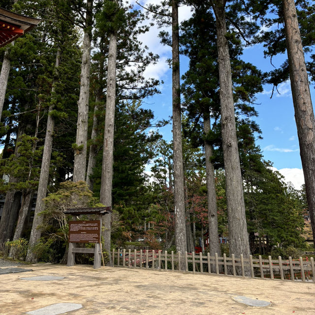 🇯🇵【和歌山】高野山真言宗 壇上伽藍✨