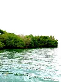 Menjangan Island; Bali’s Secret Dive Site