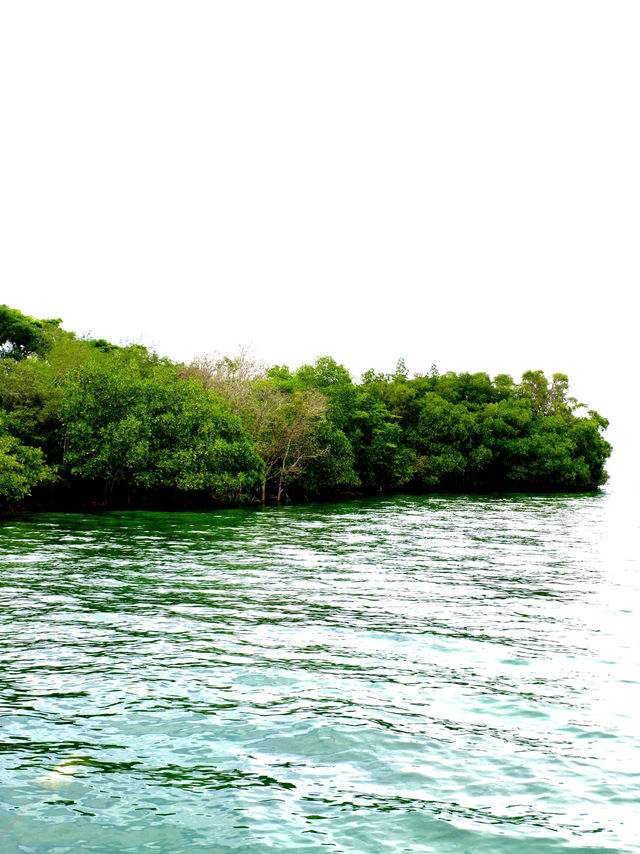 Menjangan Island; Bali’s Secret Dive Site