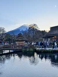 池水極清澈乾淨的忍野八海