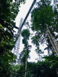“Kepong Botanical Garden: A Green Escape with Amazing Views”